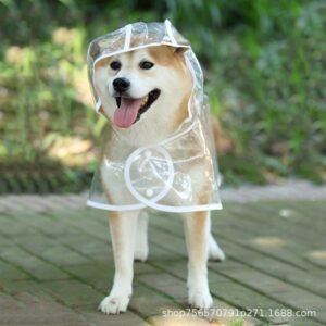 Capa de chuva transparente para cães