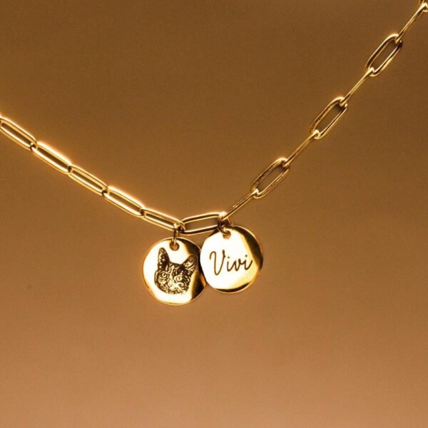 Colar com duas medalhas personalizadas do pet
